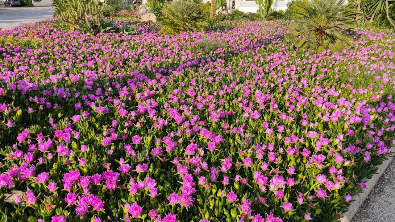 Casas Holiday - Playa Del Cura Torrevieja Dış mekan fotoğraf